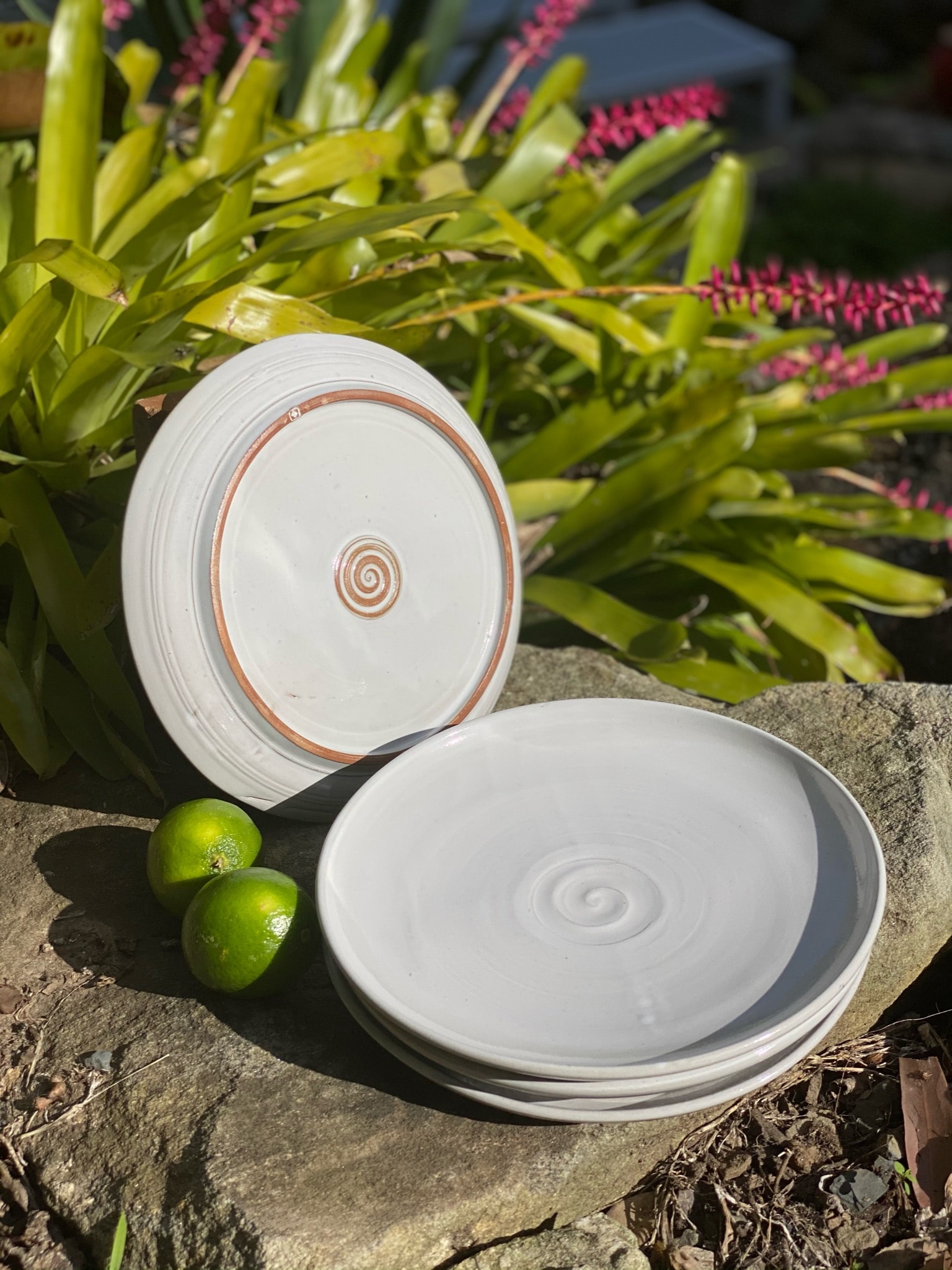 Large dinner plates in ironstone clay with white gloss glaze